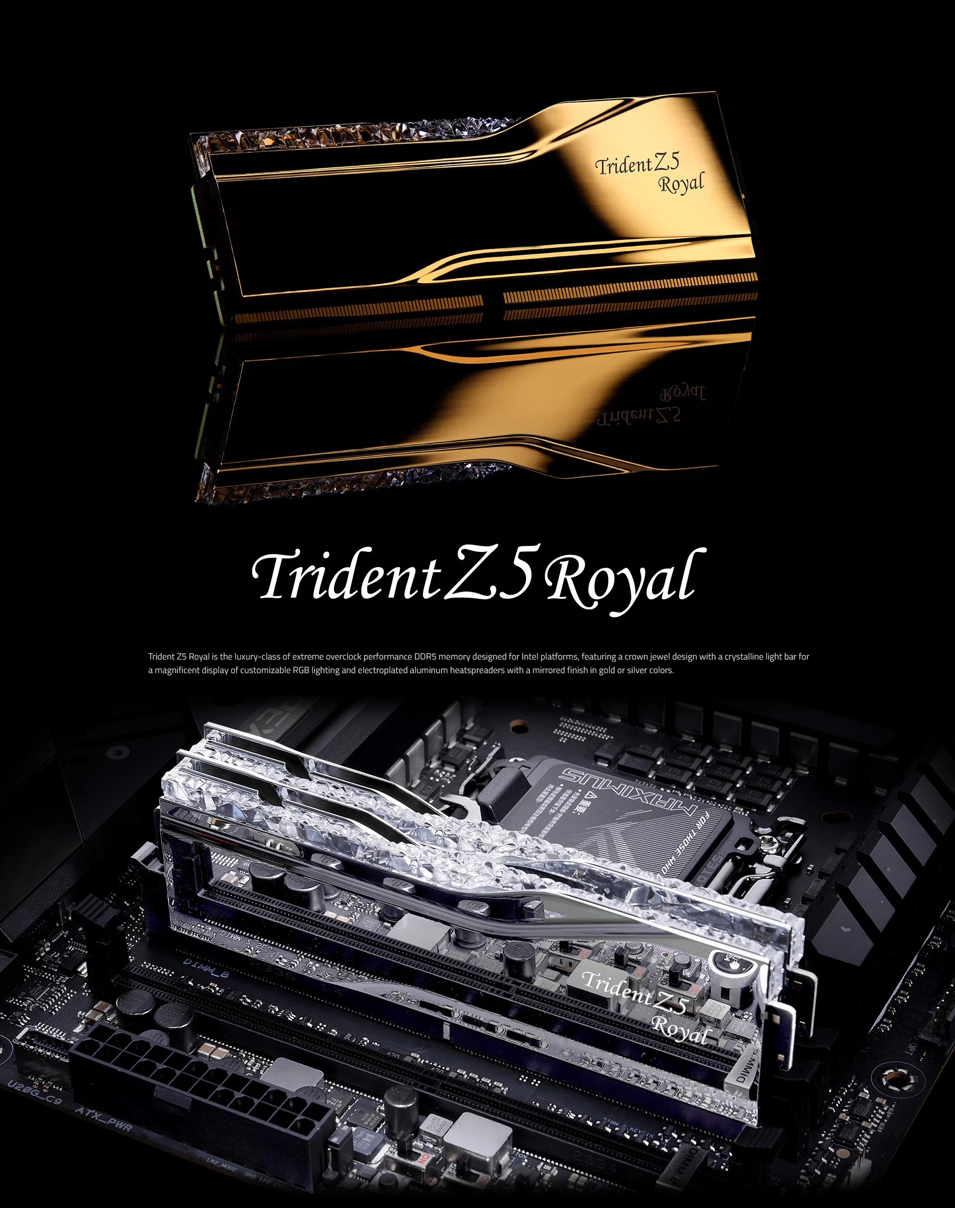 A large marketing image providing additional information about the product G.Skill Trident Z5 Royal RGB 32GB Kit (2x16GB) DDR5 C36 7600MHz - Silver - Additional alt info not provided