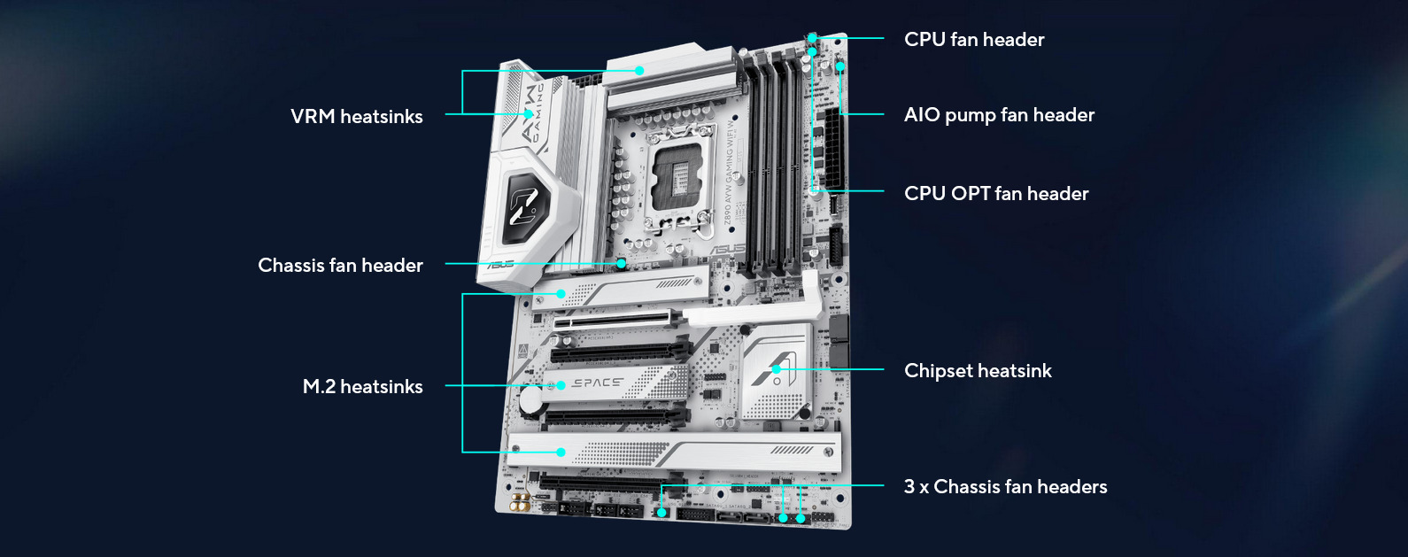 A large marketing image providing additional information about the product ASUS Z890 AYW Gaming WiFi W LGA1851 ATX Desktop Motherboard - Additional alt info not provided