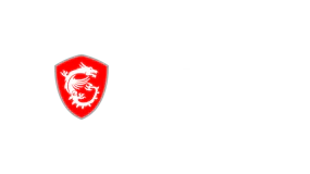 MSI