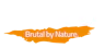 INNO3D