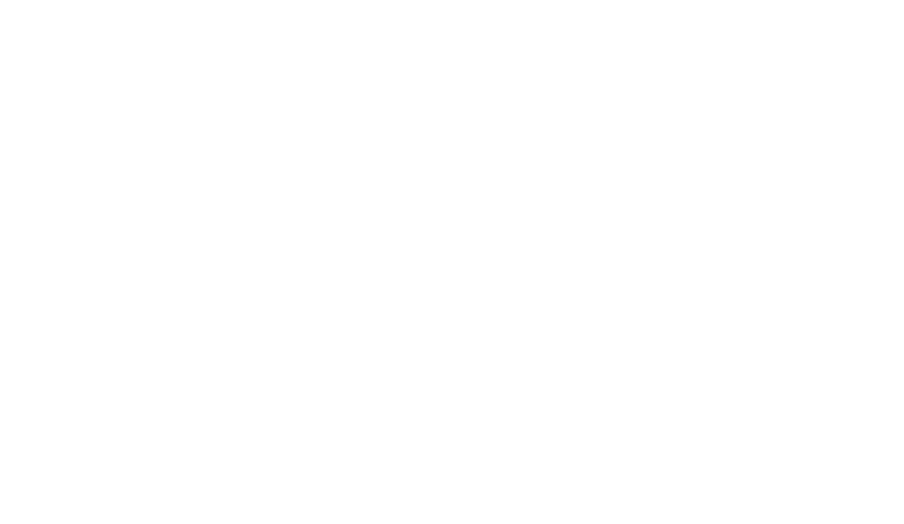 battlebull bunker bean bag