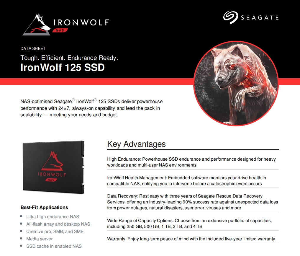 A large marketing image providing additional information about the product Seagate IronWolf 125 SATA III 2.5" NAS SSD - 250GB - Additional alt info not provided