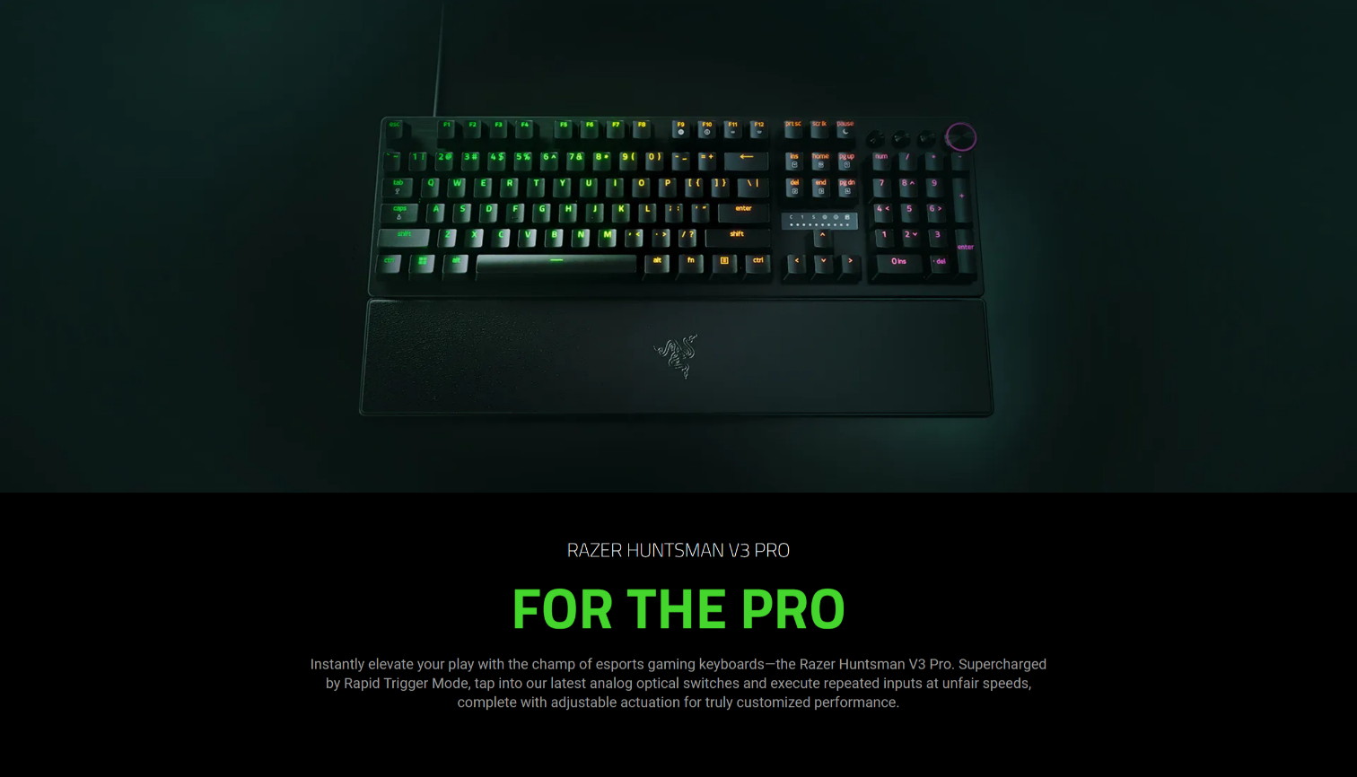 A large marketing image providing additional information about the product Razer Huntsman V3 Pro - Analog Optical eSports Keyboard - Additional alt info not provided