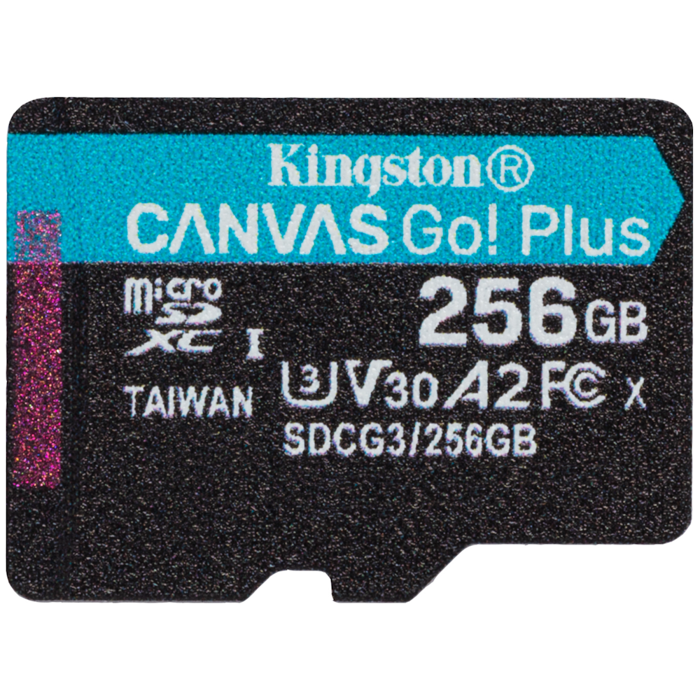 A large main feature product image of Kingston Canvas Go! Plus MicroSD 256GB