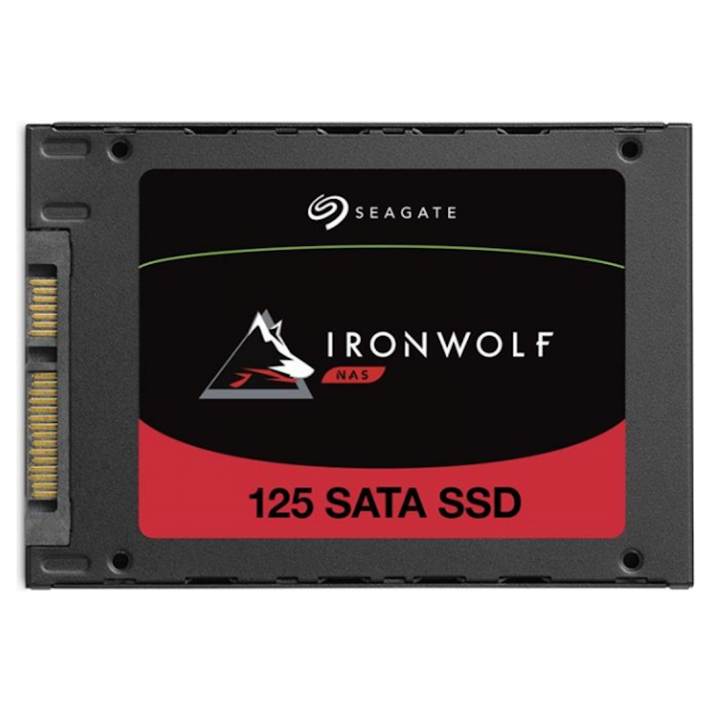 A large main feature product image of Seagate IronWolf 125 SATA III 2.5" NAS SSD - 250GB