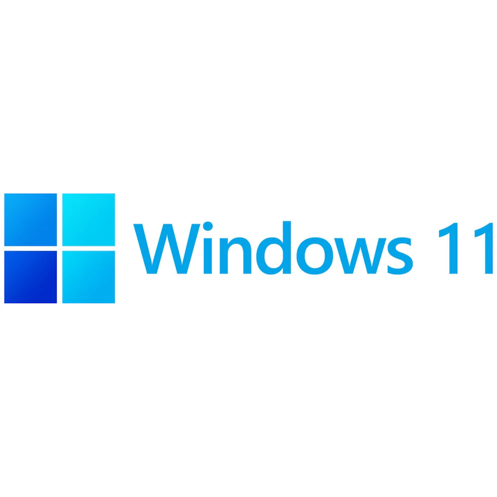 Microsoft Windows 11 Professional OEM 64-Bit DVD