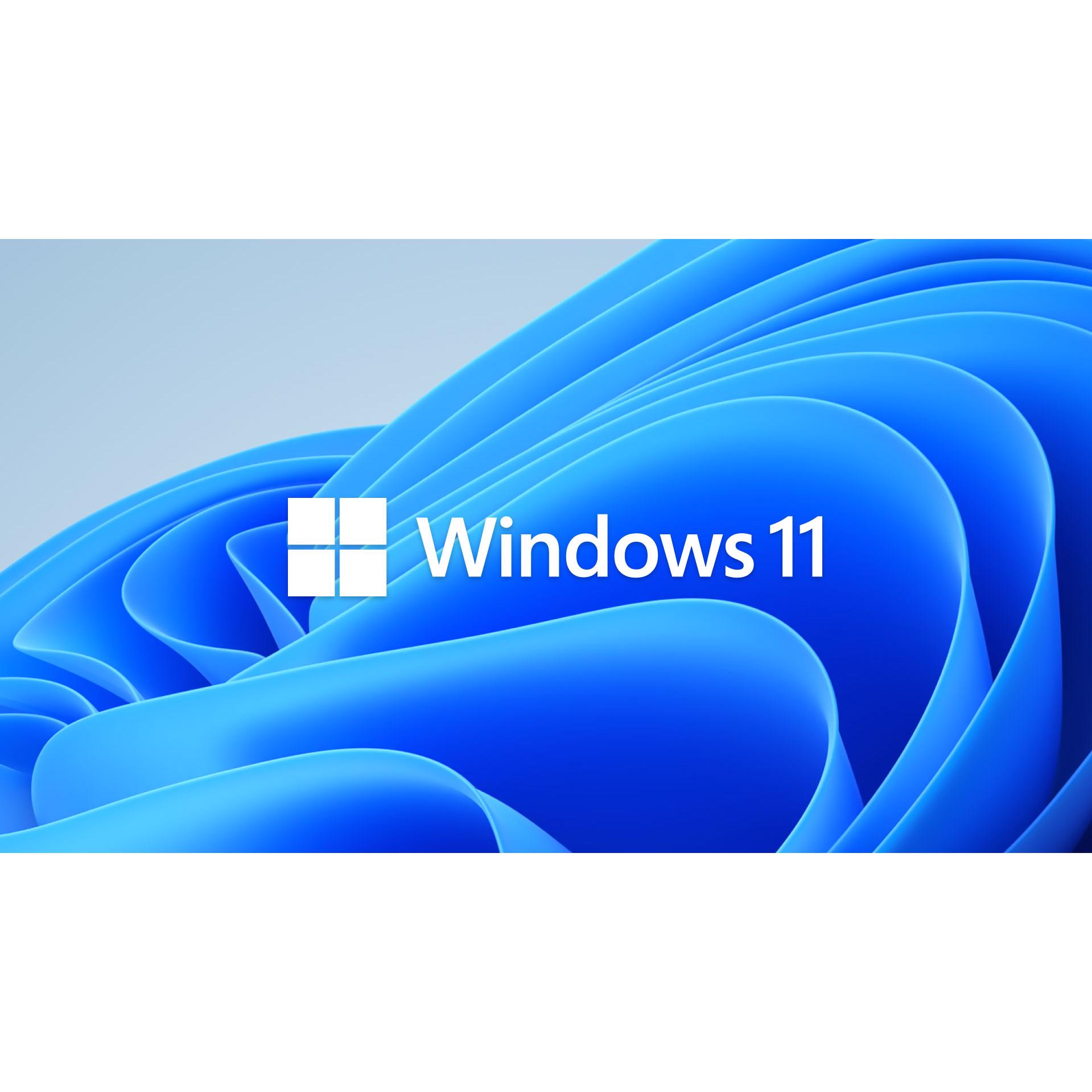 Microsoft Windows discount 11 Pro Full version English USB retail