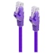 A product image of ALOGIC CAT6 1.5m Network Cable Purple