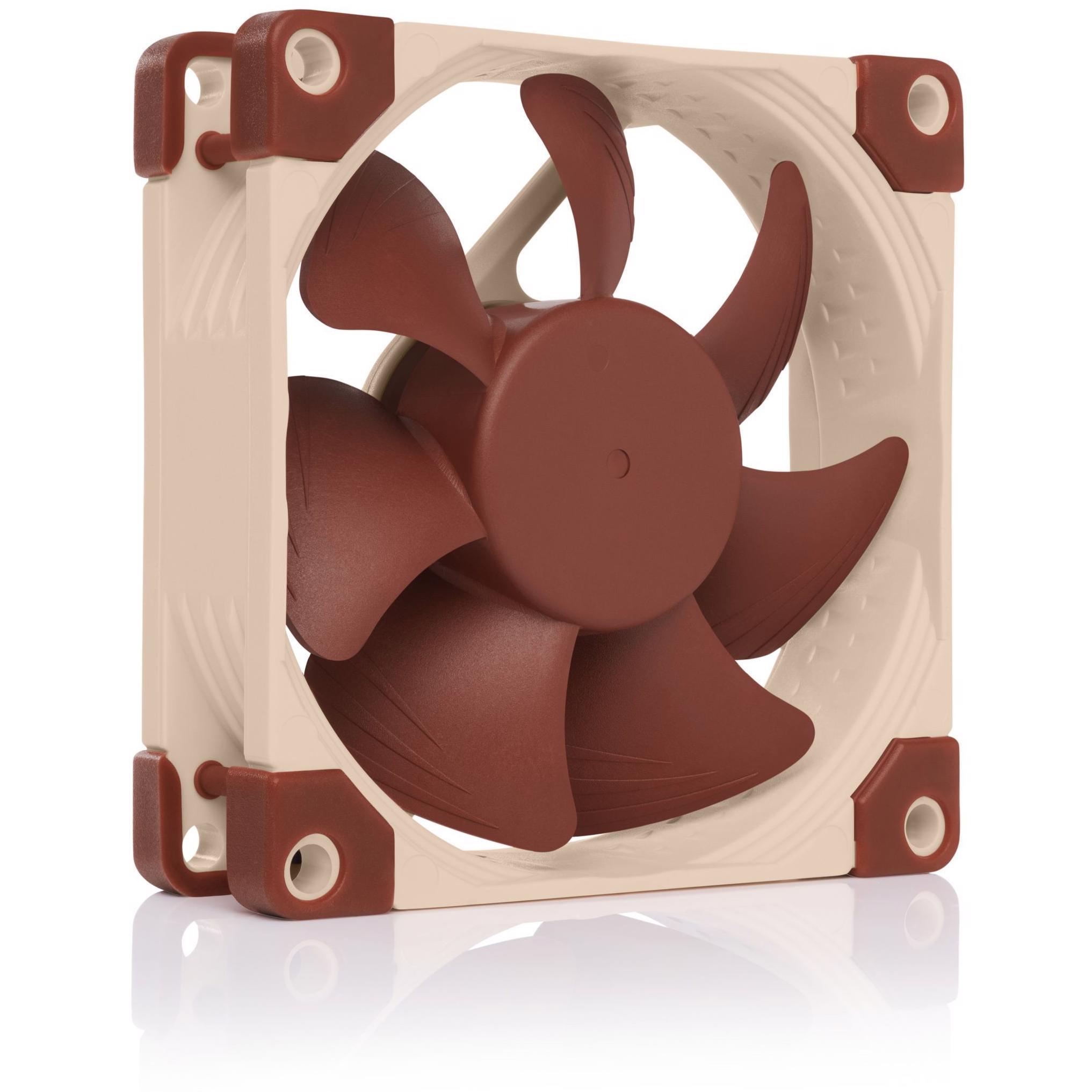 A large main feature product image of Noctua NF-A8-PWM 80mm x 25mm 2200RPM PWM Cooling Fan
