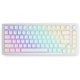 A small tile product image of Glorious Aura V2 PBT Pudding Keycaps - White