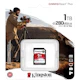 A small tile product image of Kingston Canvas React SDXC U3 V60 UHS-II SD Card - 1TB