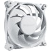 A product image of be quiet! SILENT WINGS 4 120mm Performance PWM Fan (White)