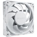 A product image of be quiet! SILENT WINGS PRO 4 120mm Performance PWM Fan (White)
