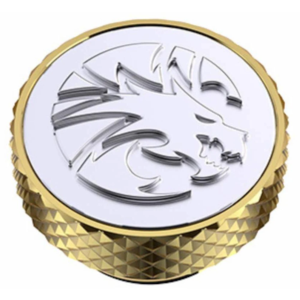Bykski G1/4" Frozen Dragon Embossed Plug (Gold)