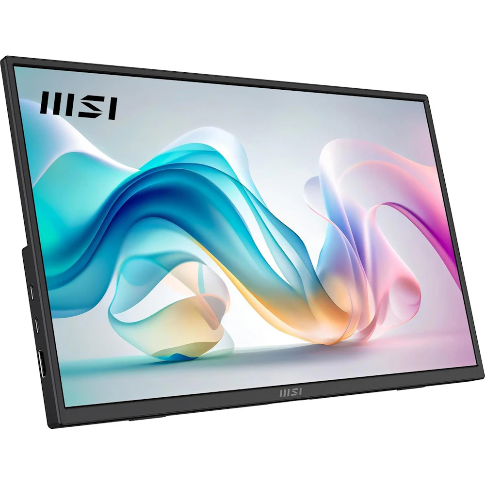 A large main feature product image of MSI PRO MP165 E6 - 15.6" 1080p 60Hz IPS USB Type-C Portable Monitor