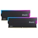 A product image of BIWIN Black Opal 32GB Kit (2x16GB) DDR5-6000 C30 - Black