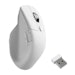 A product image of Keychron M6 - 8K Wireless Mouse (White)