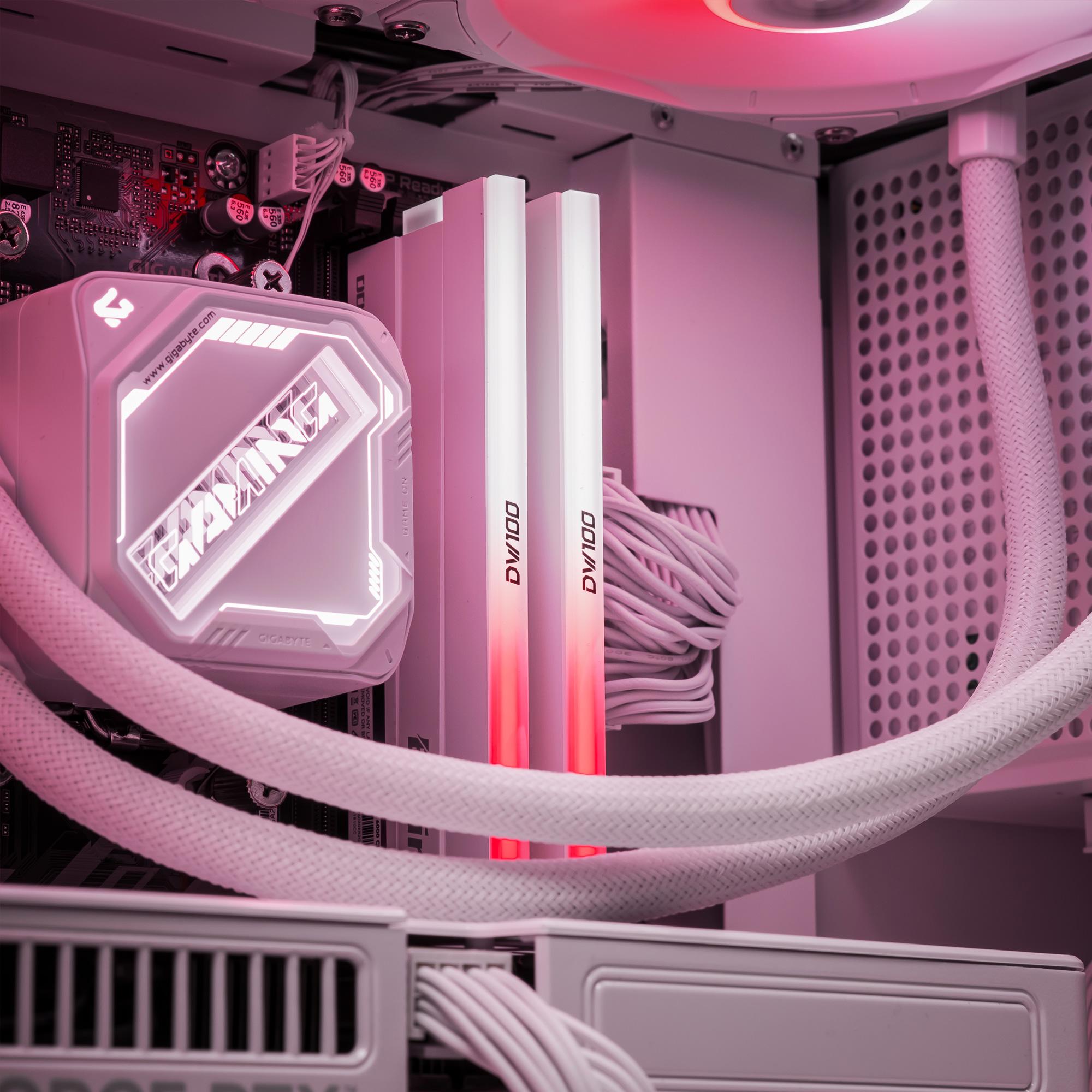 A large main feature product image of EX-DEMO PLE Sentry RTX 5060 Ti Prebuilt Ready To Go Gaming PC