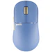A product image of Pulsar X2H CrazyLight Medium - 43g Ultra-Lightweight 8K Wireless Gaming Mouse (Wildscape Ocean)