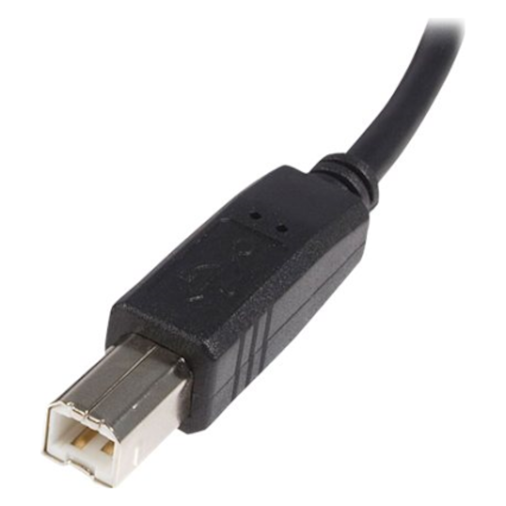 A large main feature product image of Startech USB2.0 A to B 50cm Cable
