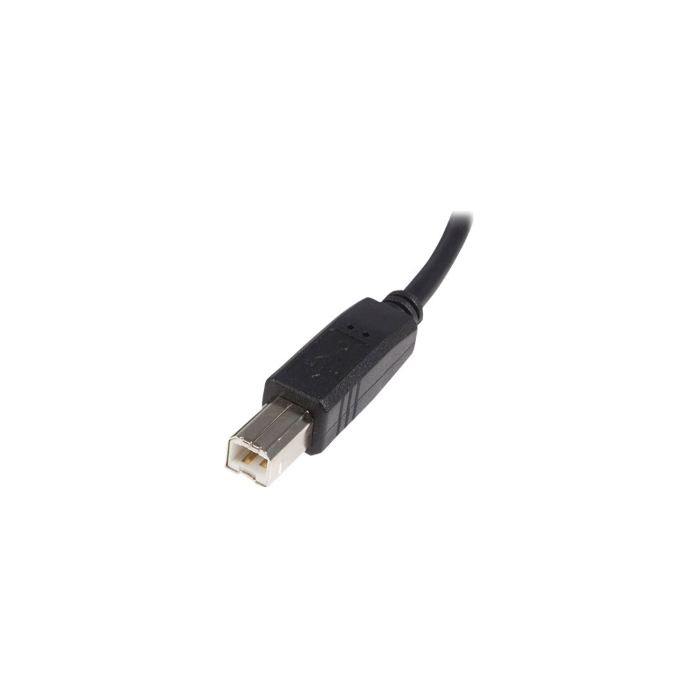 A large main feature product image of Startech USB2.0 A to B 50cm Cable