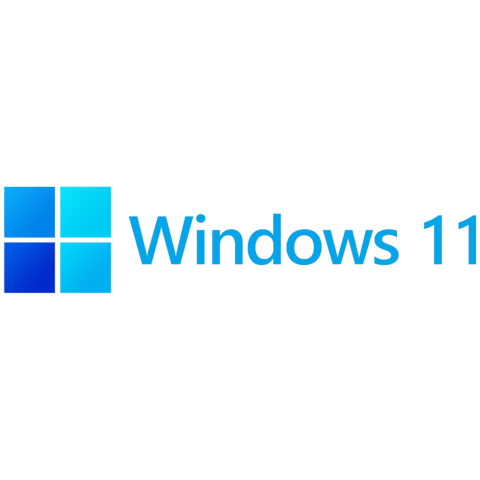 Microsoft Windows 11 Home OEM 64-Bit DVD