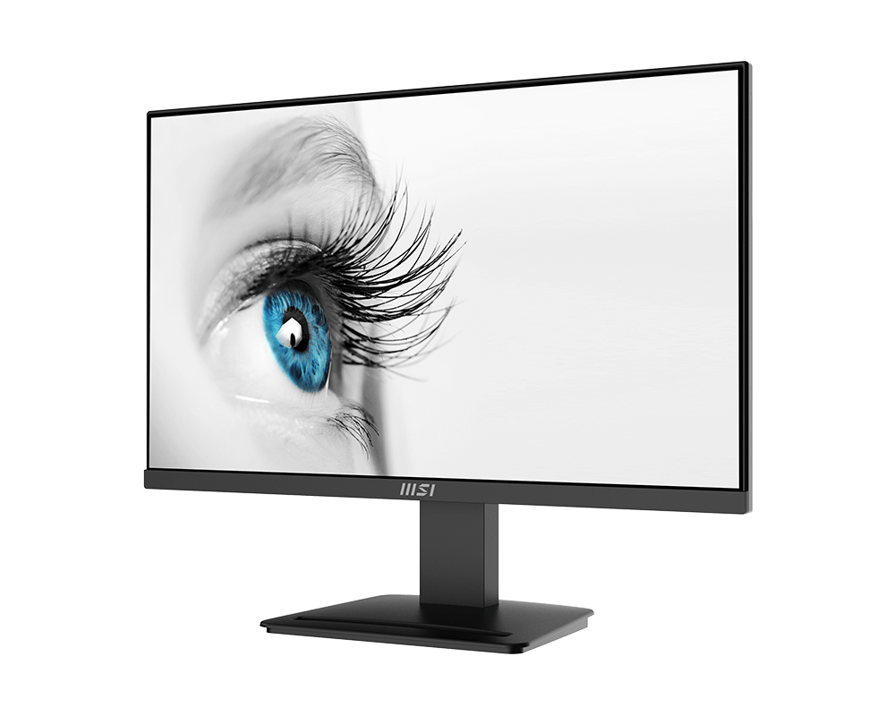 A large main feature product image of MSI PRO MP2412 23.8" FHD 100Hz 1MS VA W-LED Monitor