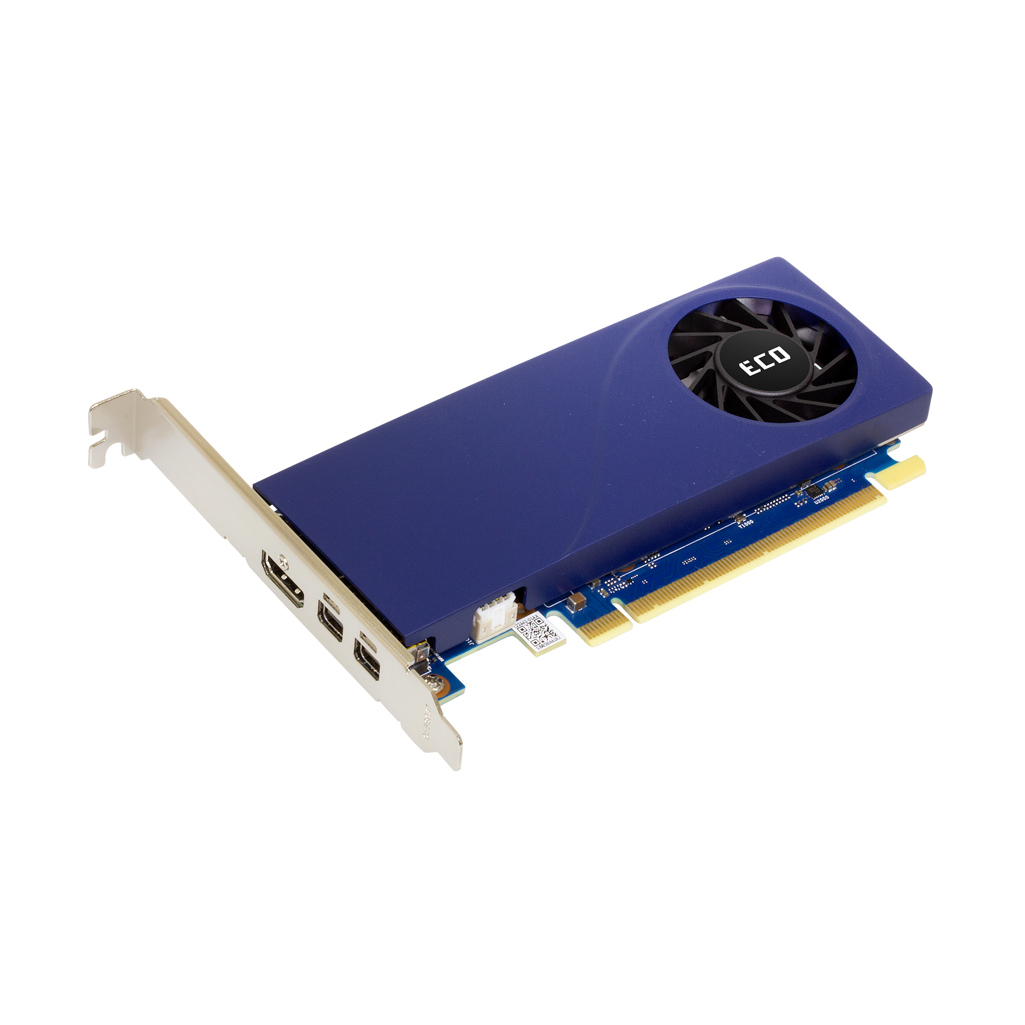 A large main feature product image of SPARKLE Intel Arc A310 ECO Low Profile 4GB GDDR6