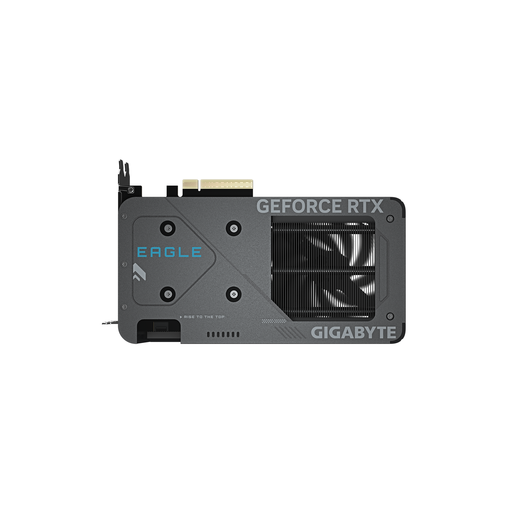 A large main feature product image of Gigabyte GeForce RTX 5060 Eagle OC 8GB GDDR7