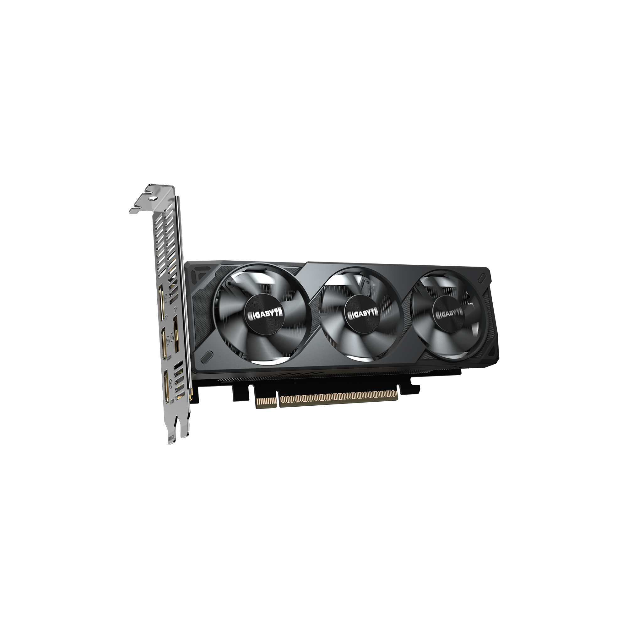 A large main feature product image of Gigabyte GeForce RTX 5050 OC Low Profile 8GB GDDR6