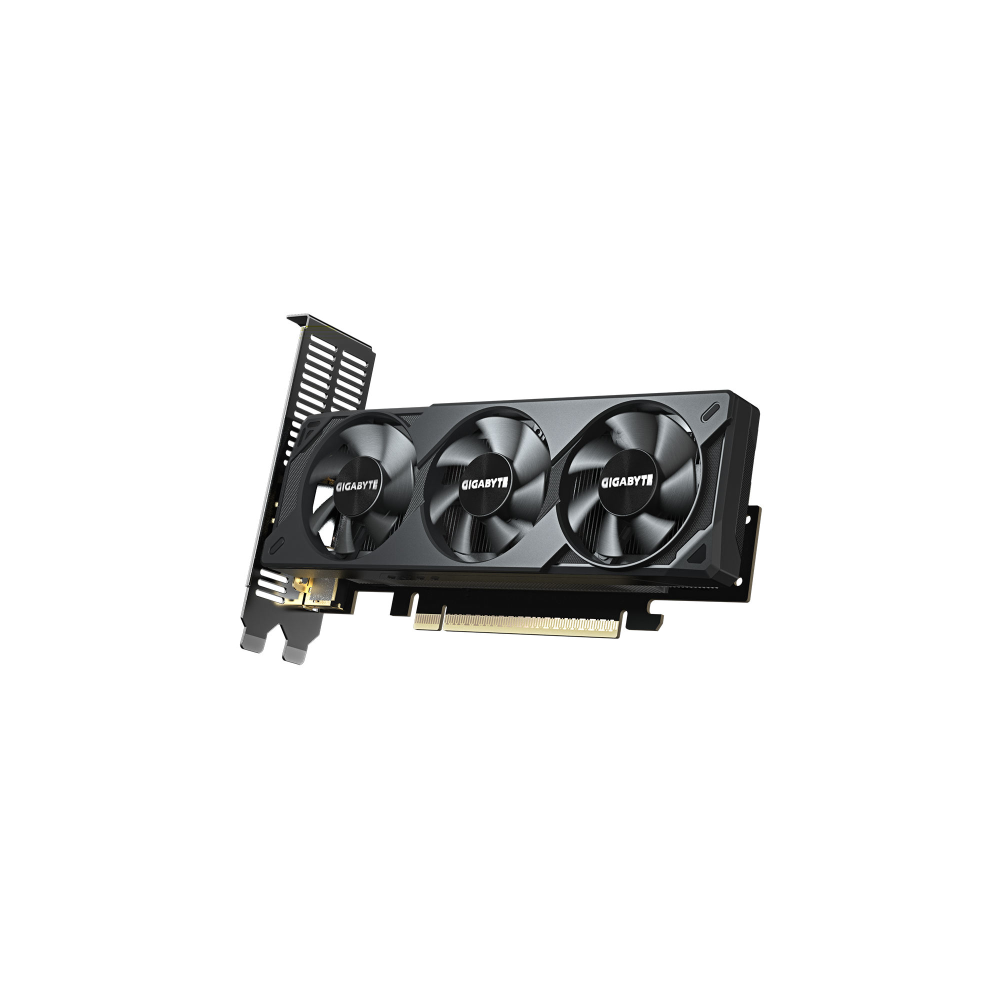 A large main feature product image of Gigabyte GeForce RTX 5050 OC Low Profile 8GB GDDR6