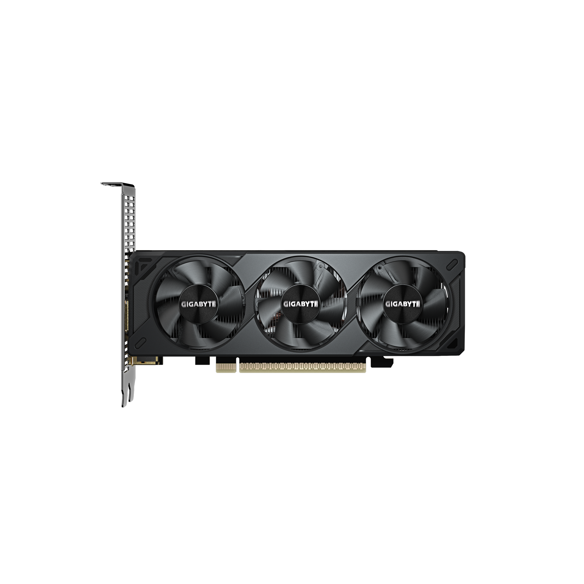 A large main feature product image of Gigabyte GeForce RTX 5050 OC Low Profile 8GB GDDR6