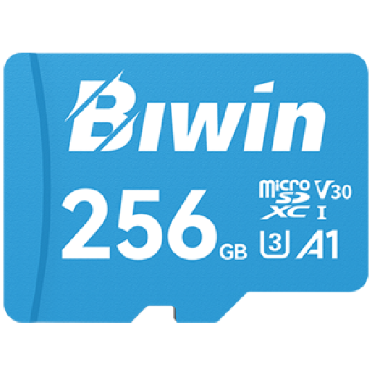 A large main feature product image of BIWIN MS100 microSDHC U3 V30 A1 UHS-I microSD Card - 256GB