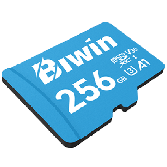 A large main feature product image of BIWIN MS100 microSDHC U3 V30 A1 UHS-I microSD Card - 256GB