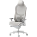 A product image of Fractal Design Refine 2 Gaming Chair (Mesh Light)